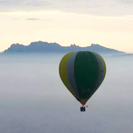 Ballooning anoia