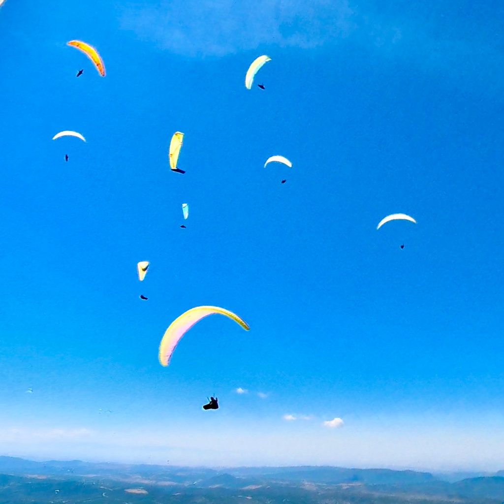 PARAGLIDING TASK IS OPEN h