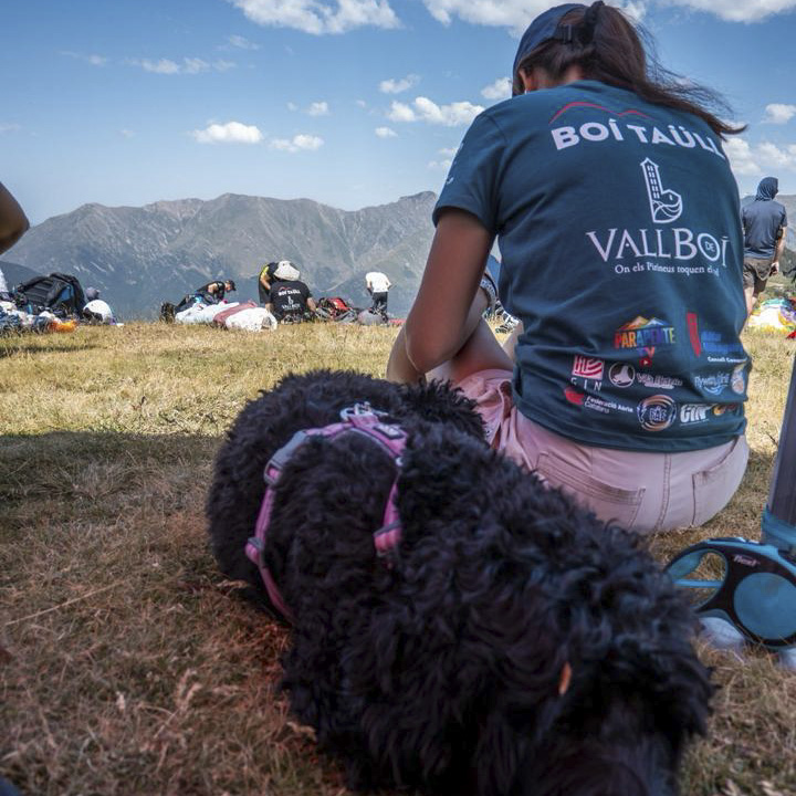 Five days of paragliding competition in the Boí Valley